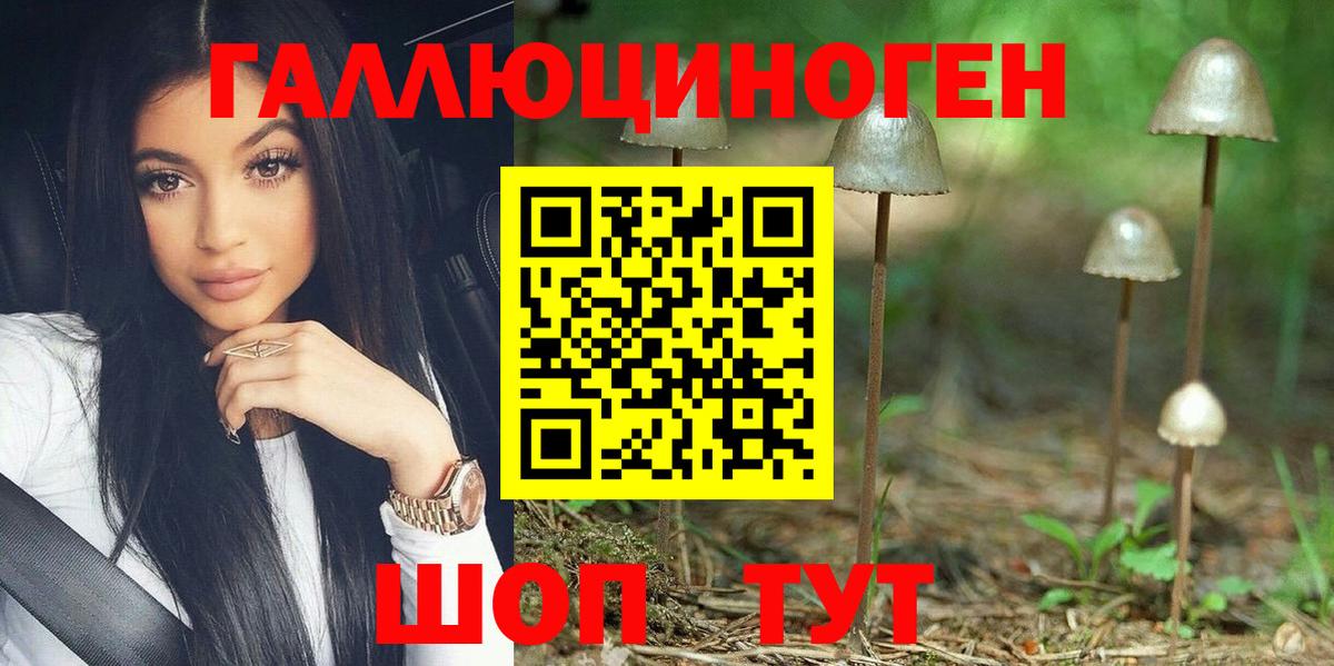 Псилоцибиновые грибы Cubensis Александров